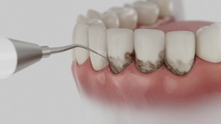 Reliable Dental contractor in Century, FL by Dentist Open Now